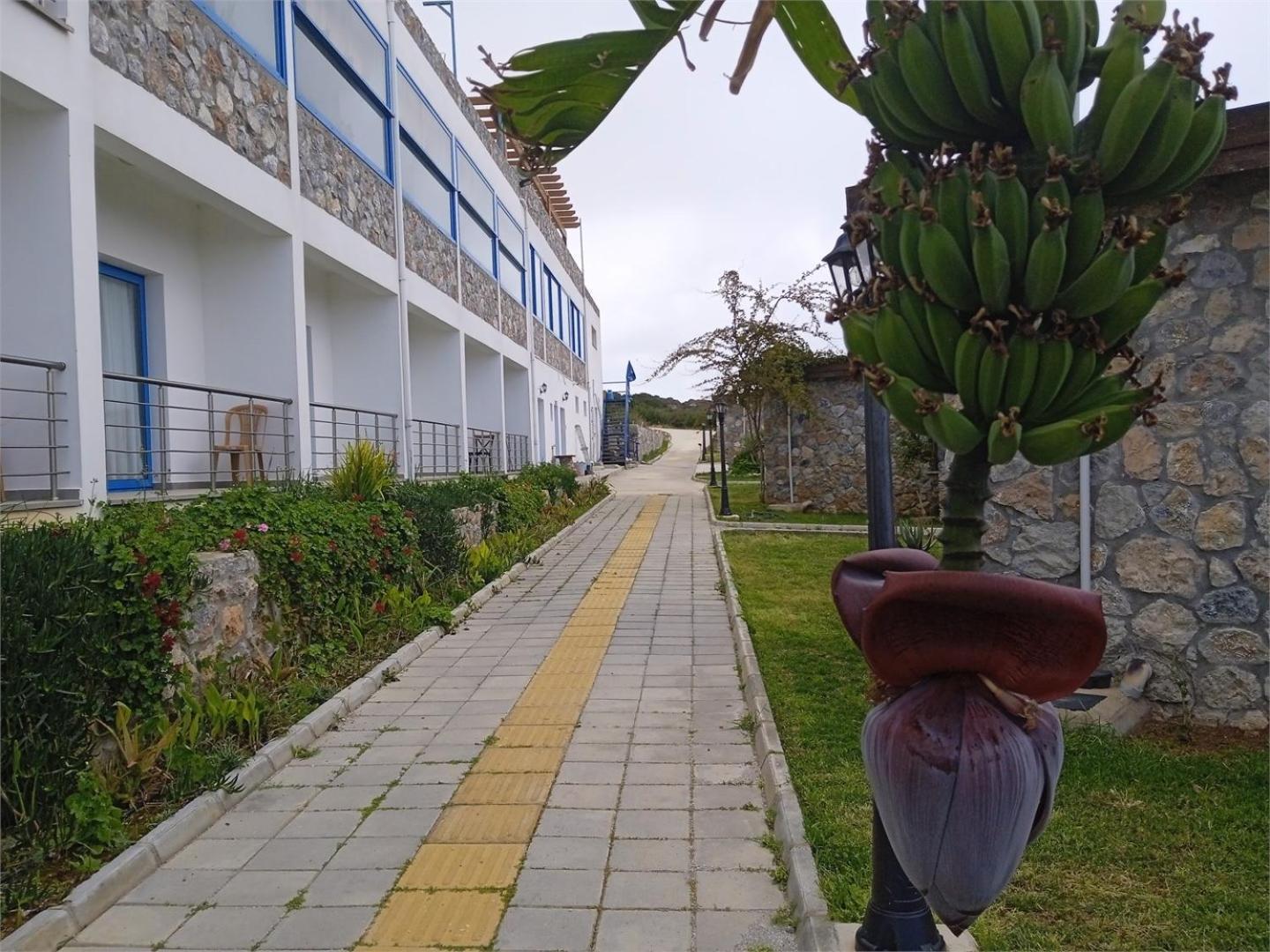Ardic Agaci Holiday Village Famagusta  Exterior foto