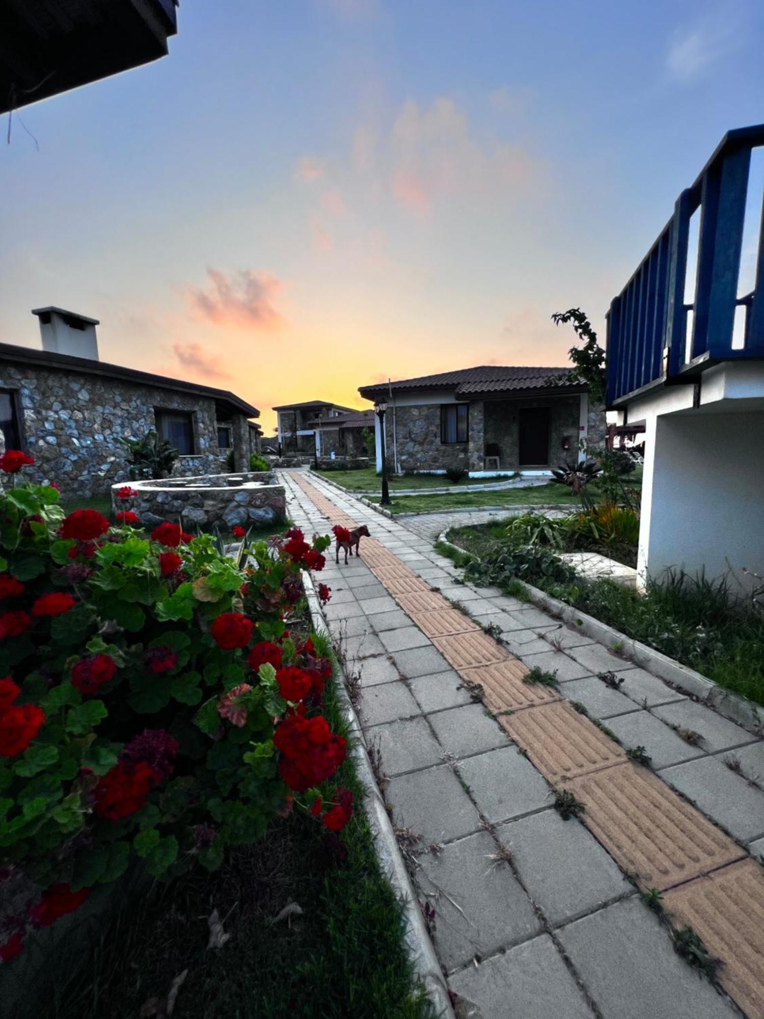Ardic Agaci Holiday Village Famagusta  Exterior foto